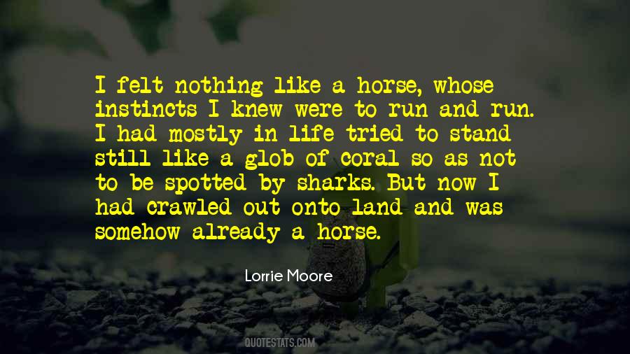 Quotes About Sharks And Life #470927