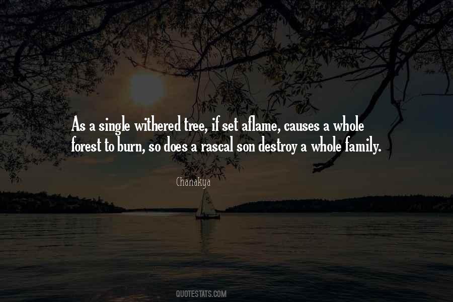Quotes About A Whole Family #871680