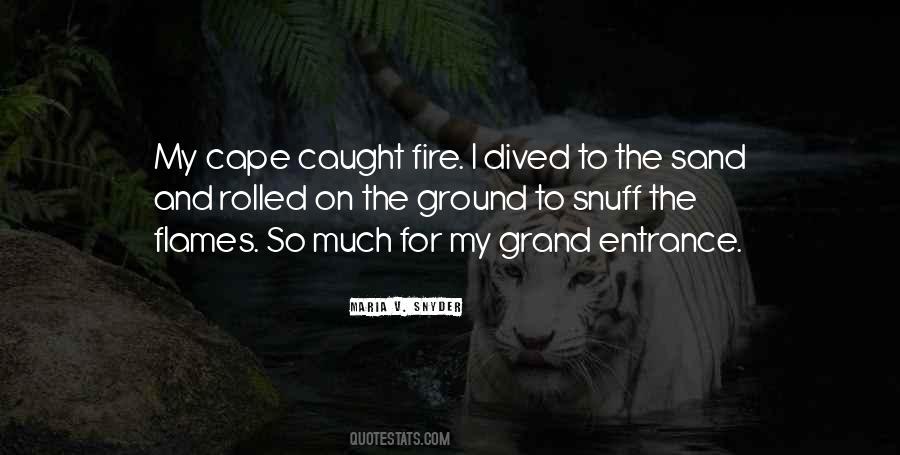 Caught On Fire Quotes #1619407