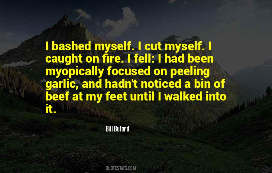 Caught On Fire Quotes #413238