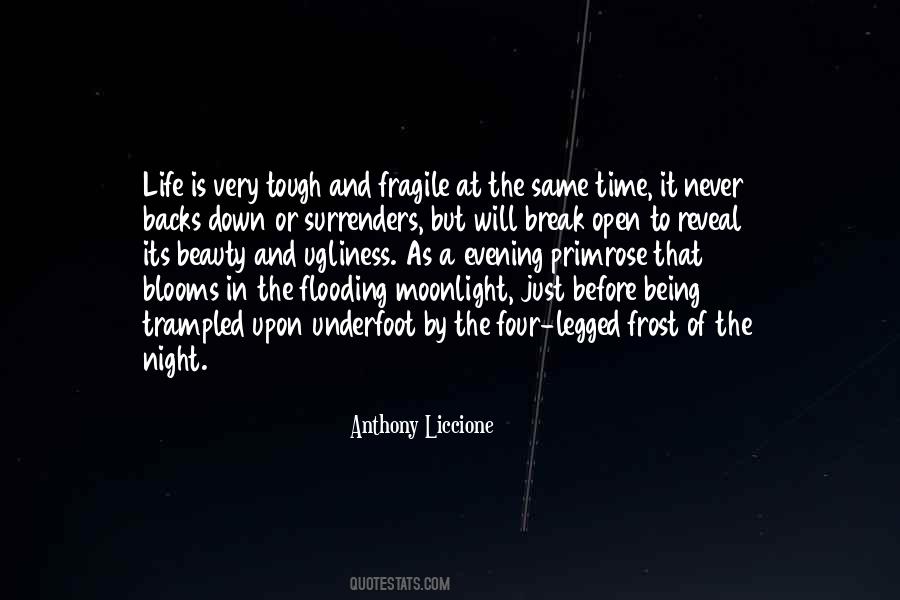 Quotes About How Fragile Life Can Be #1319746