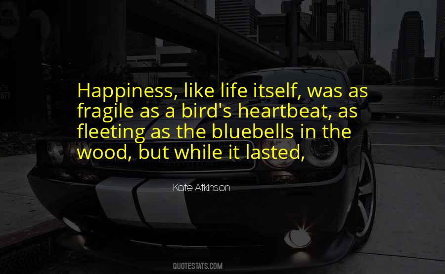 Quotes About How Fragile Life Can Be #162849