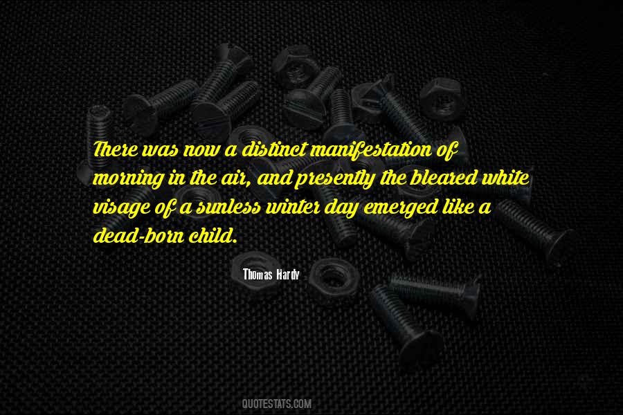 Quotes About The Visage #1273608