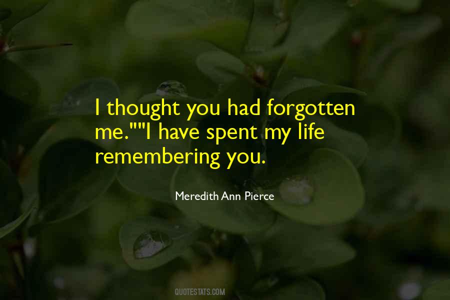 Quotes About You Have Forgotten #241384