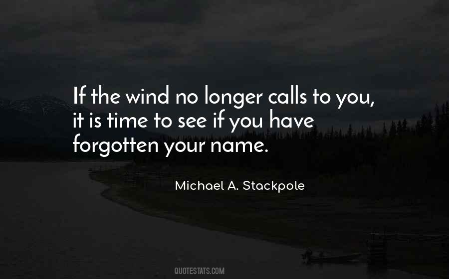 Quotes About You Have Forgotten #275453