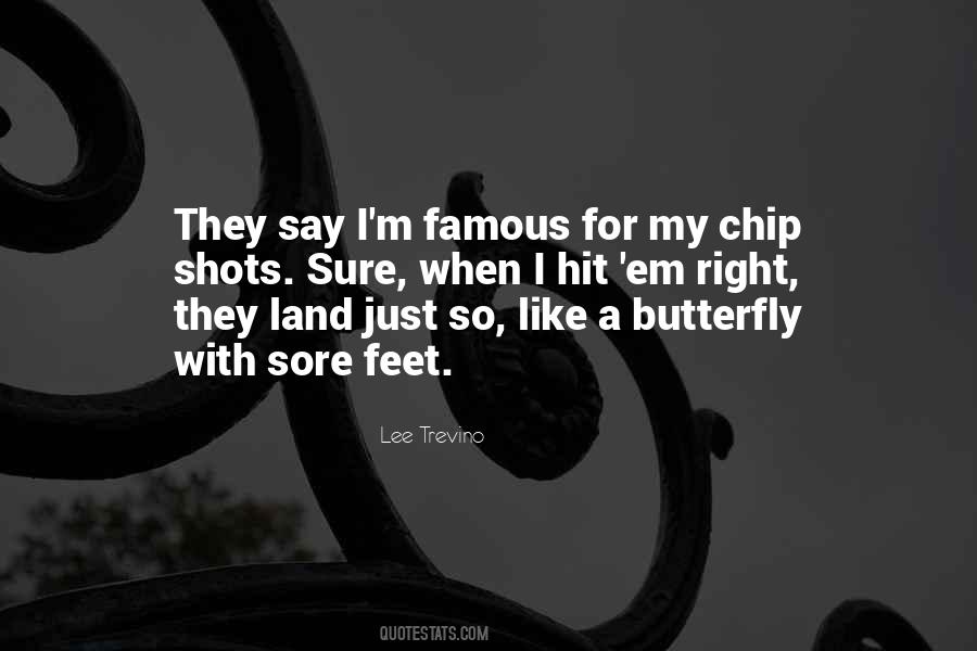 Butterfly With Quotes #1212905