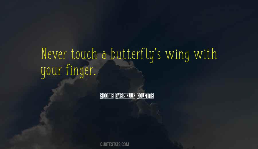 Butterfly With Quotes #1569926