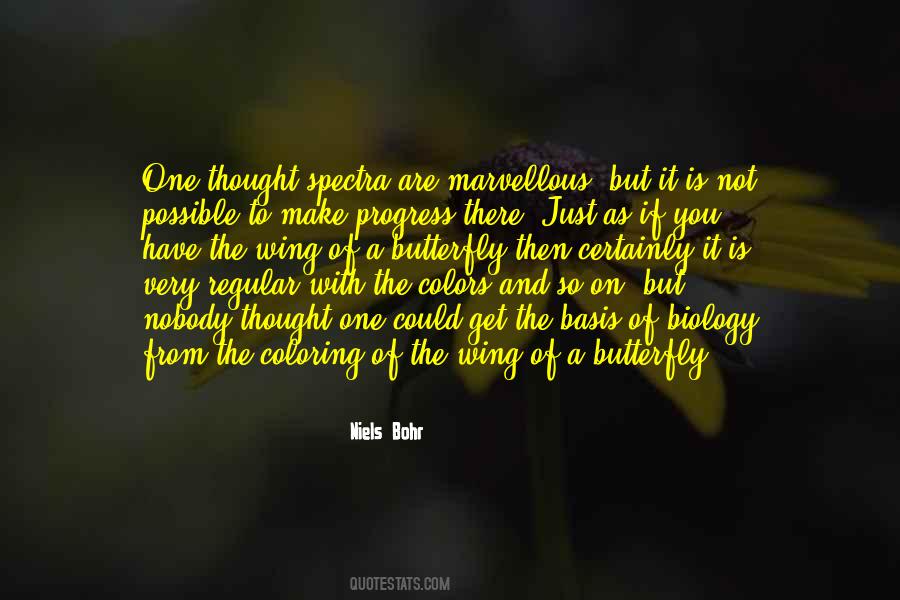 Butterfly With Quotes #900332