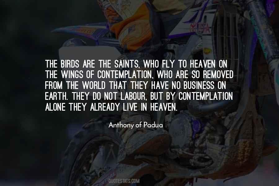 No Wings To Fly Quotes #15867