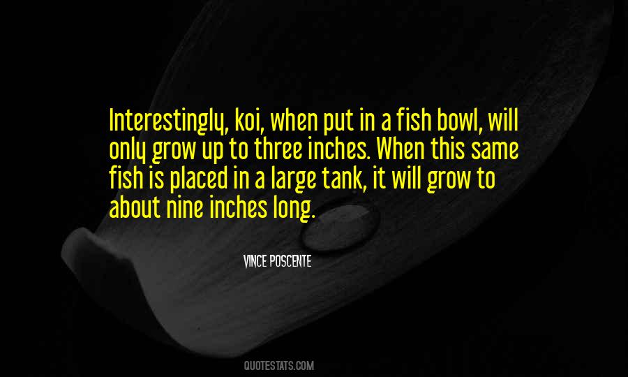 Quotes About A Fish Bowl #1427775