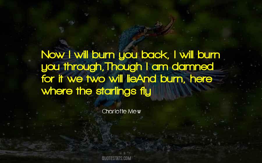 I Will Fly Quotes #1538709