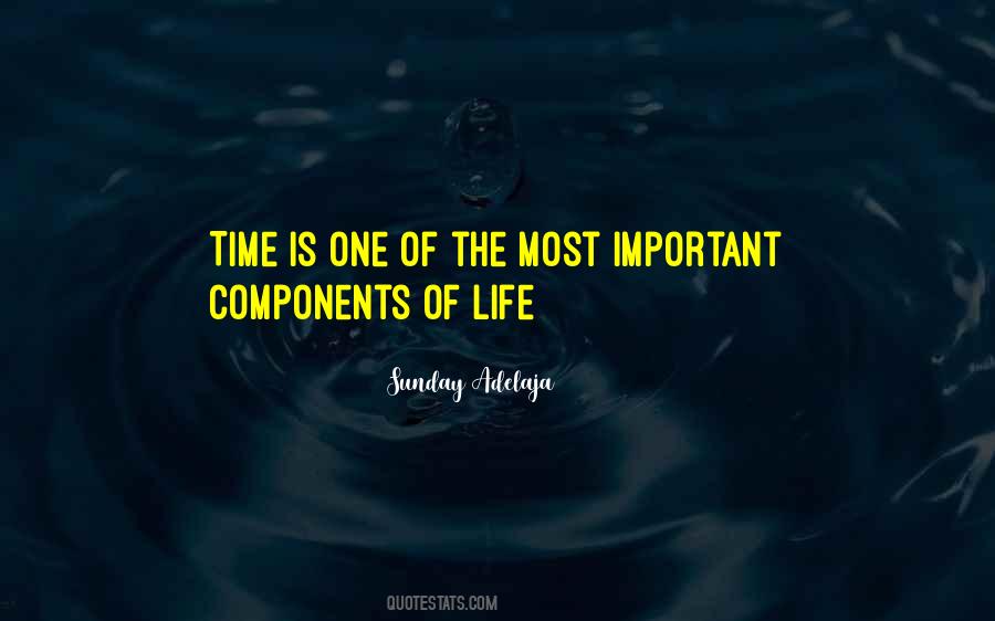 Time Is Very Important In Your Life Quotes #1001937