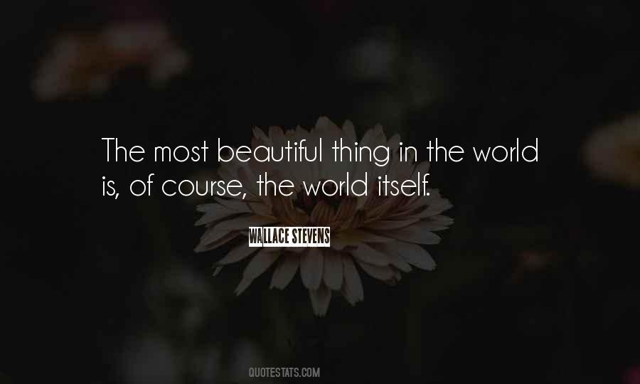 Most Beautiful Thing In The World Quotes #744626
