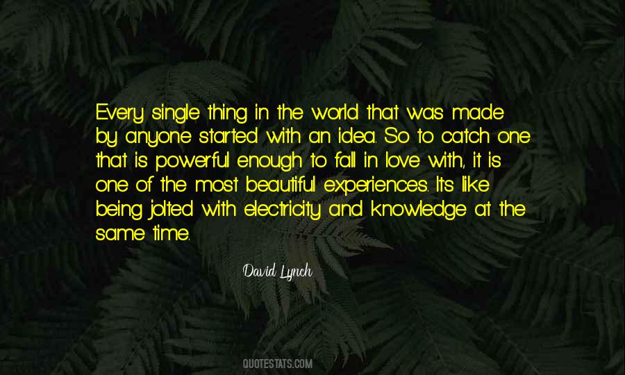 Most Beautiful Thing In The World Quotes #956159