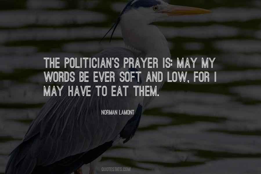 The Politician Quotes #481793