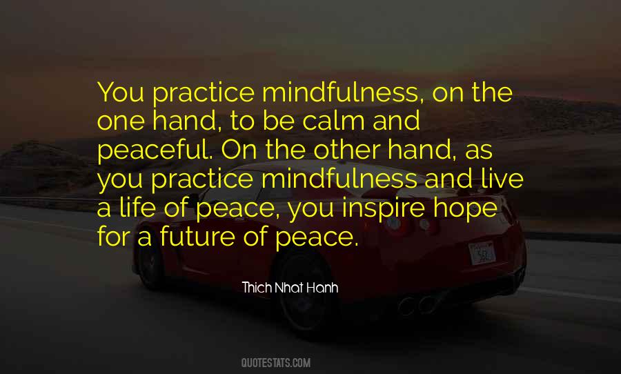 Calm Mindfulness Quotes #347241