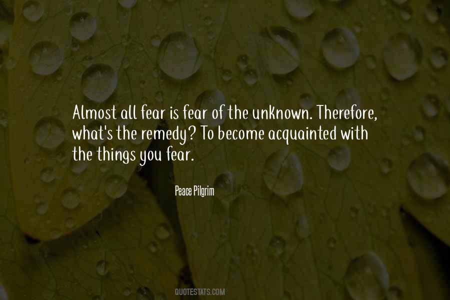 Quotes About The Unknown Fear #163649