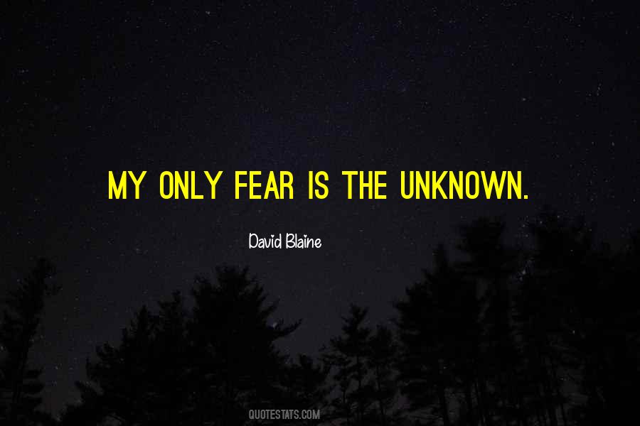 Quotes About The Unknown Fear #1653876