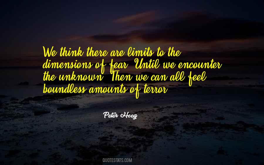 Quotes About The Unknown Fear #983392