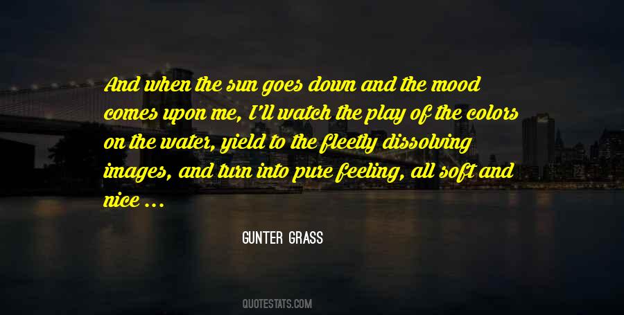 When The Sun Goes Down Quotes #1705254