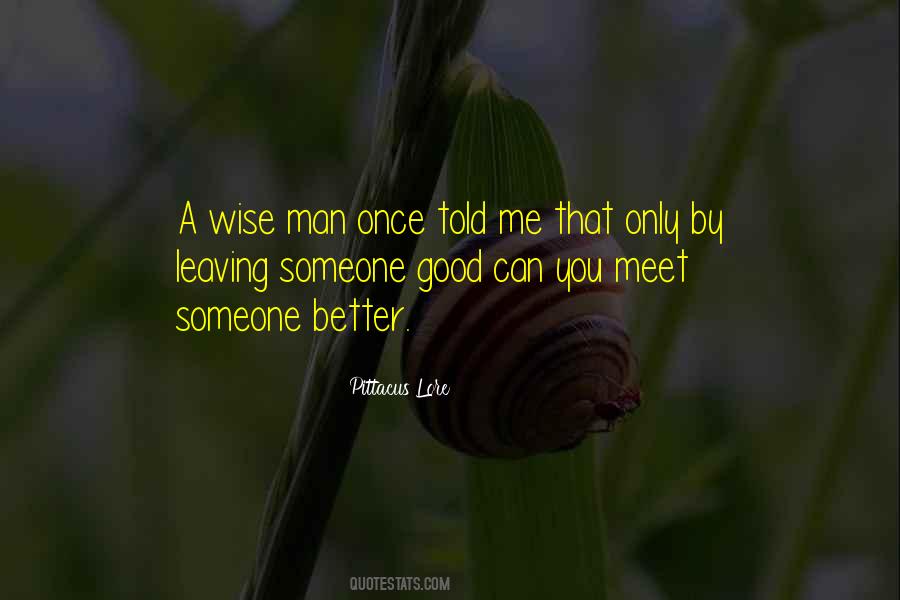 You Meet Someone Quotes #469362
