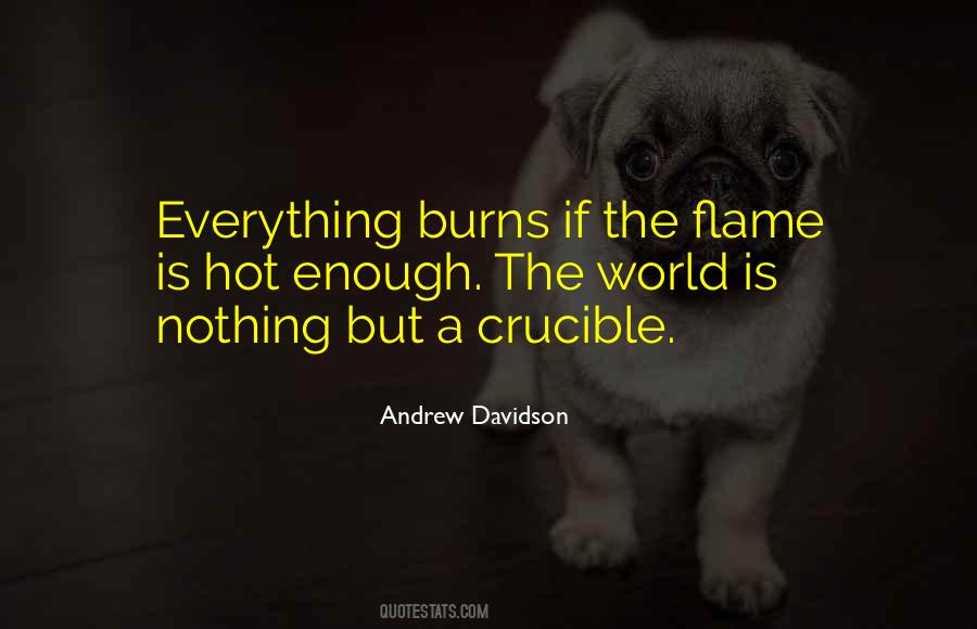Everything Burns Quotes #385370