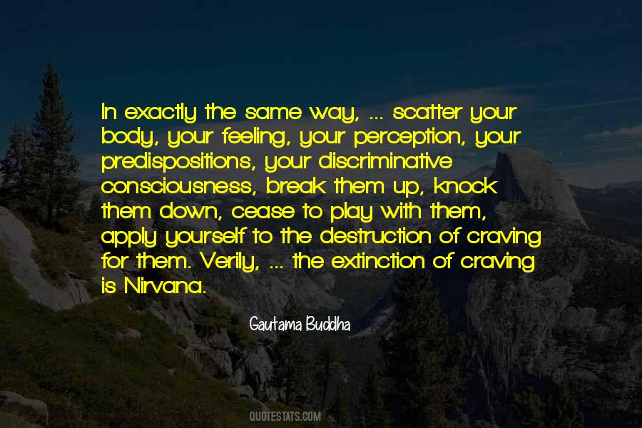 Body Break Quotes #1056212