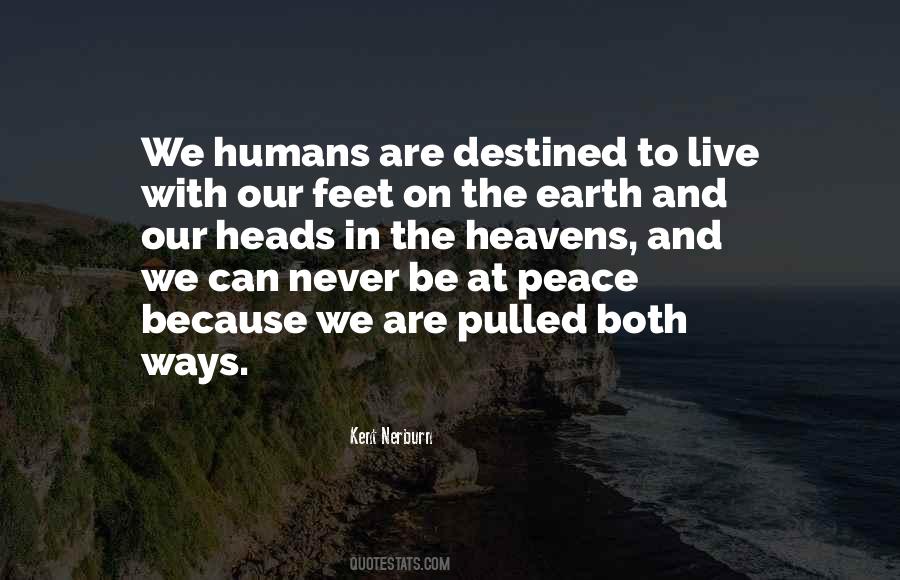 Never Be Peace Quotes #491207