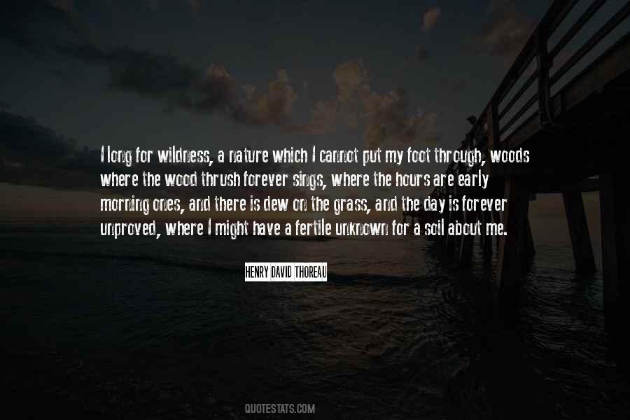 Thoreau Woods Quotes #1019472