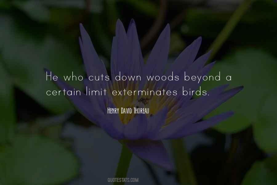Thoreau Woods Quotes #1054182