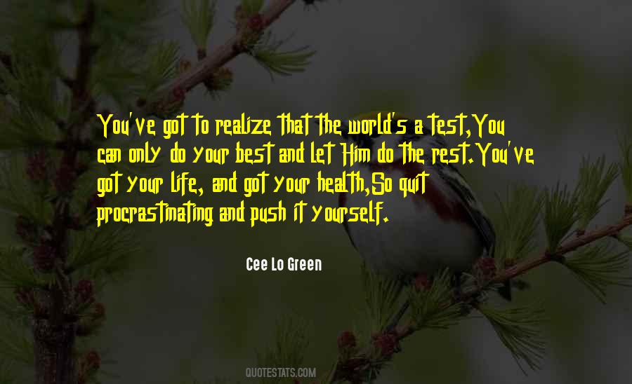 You Can Do It Yourself Quotes #1311793