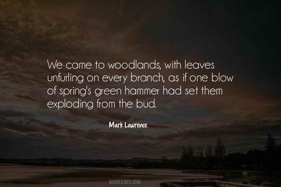 When You Have A Hammer Quotes #251346