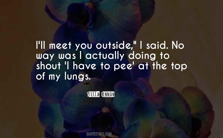 Meet You Quotes #1725925