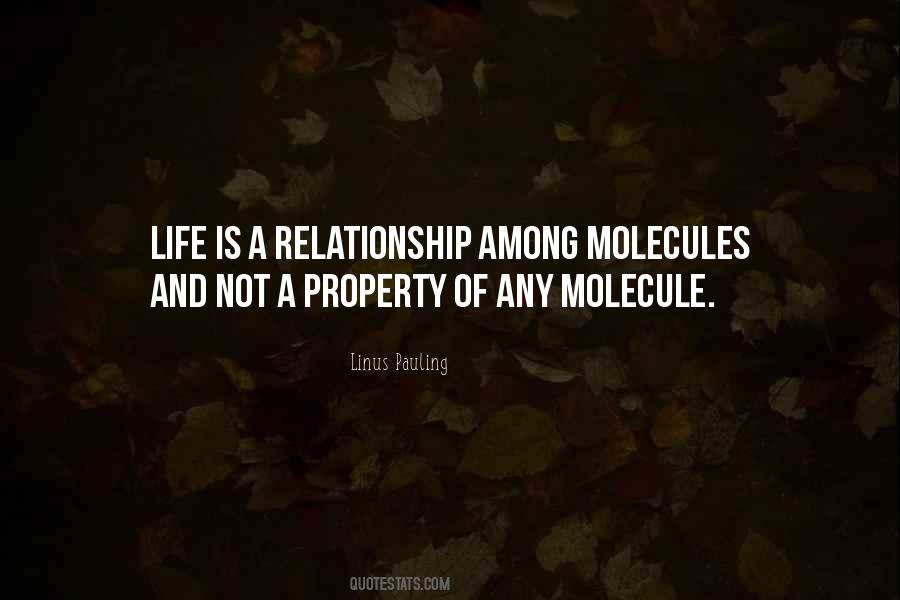 What A Relationship Should Be Quotes #7243