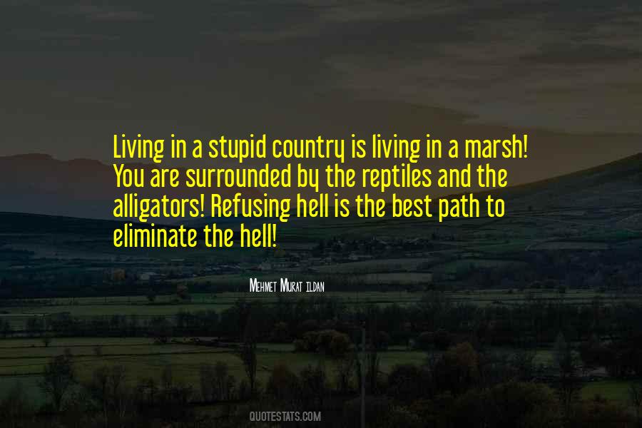 Surrounded By The Best Quotes #1693051