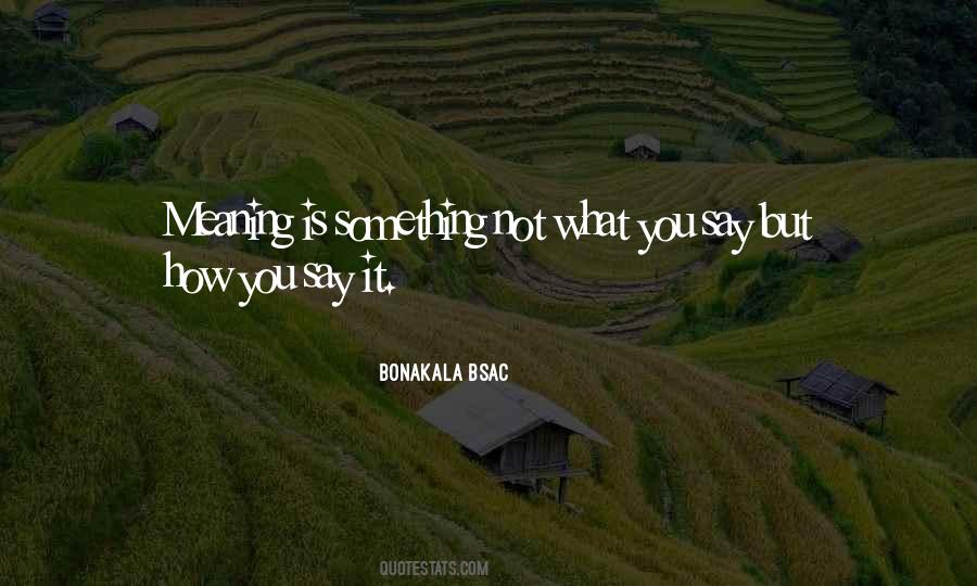 Quotes About Not What You Say But How You Say It #1478469