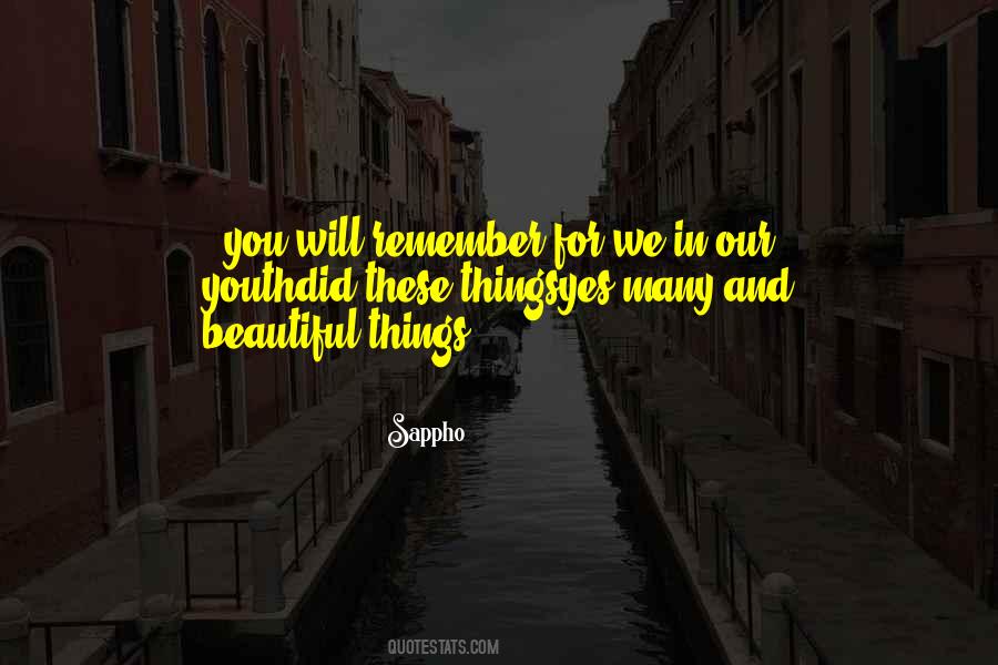 We Will Remember You Quotes #1344378