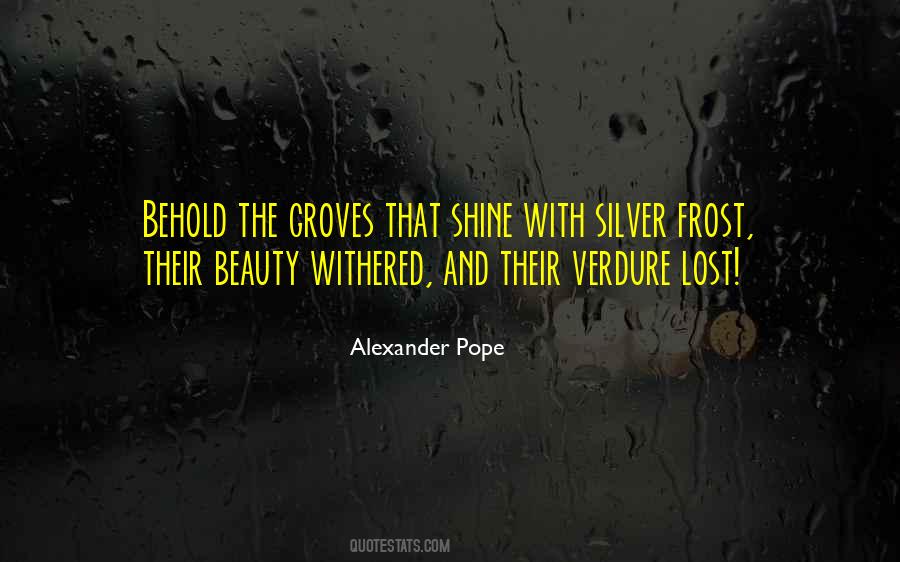Silver Shine Quotes #1630232