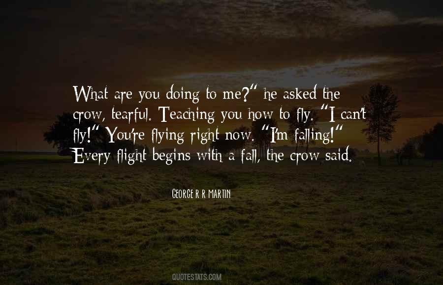 Flight Flying Quotes #1500495