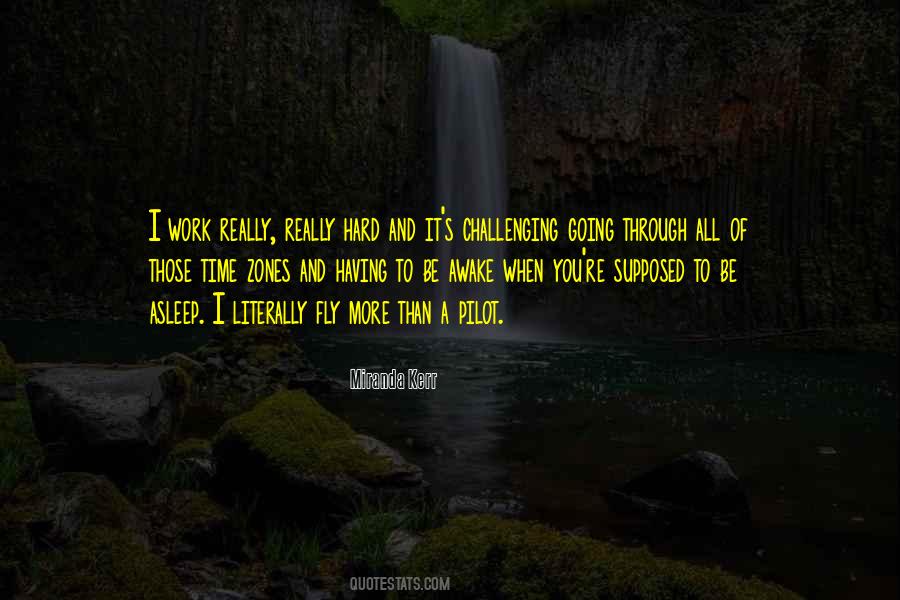 More Hard Work Quotes #828548