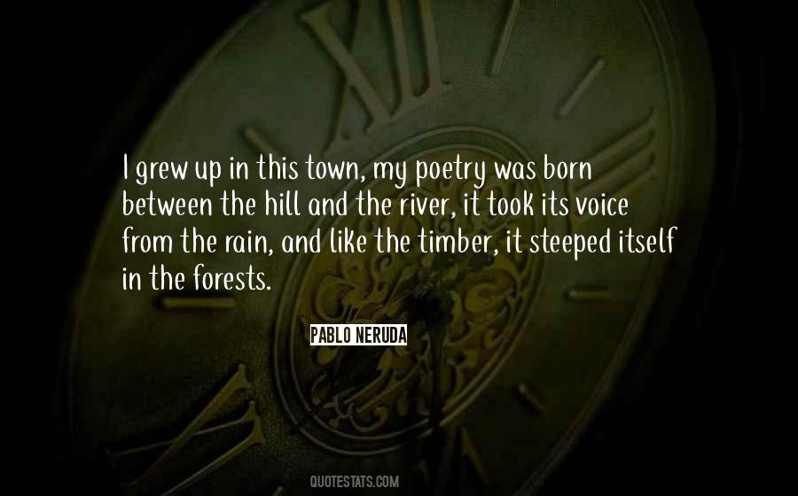 I Like The Rain Quotes #1162462