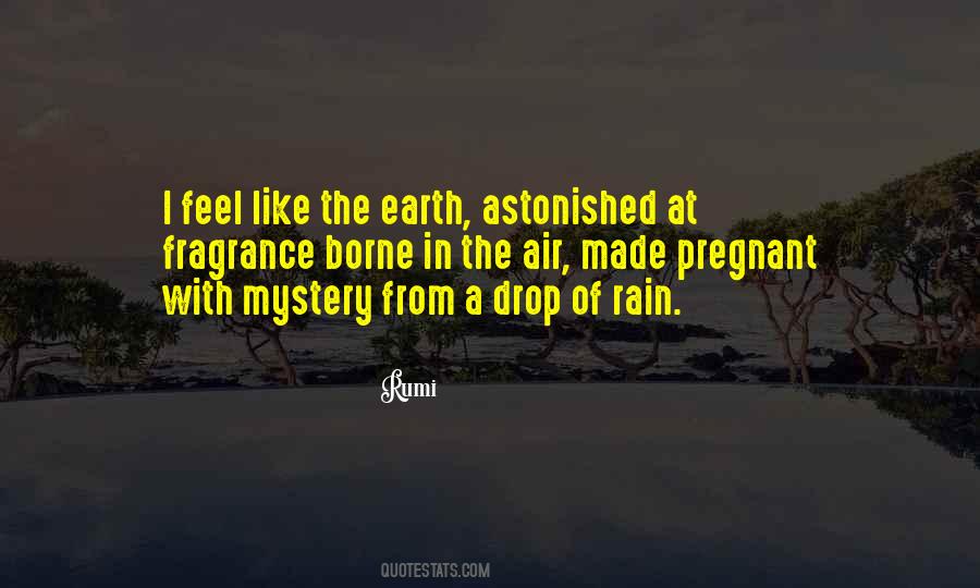 I Like The Rain Quotes #1662139