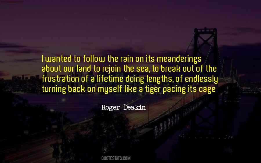I Like The Rain Quotes #380851