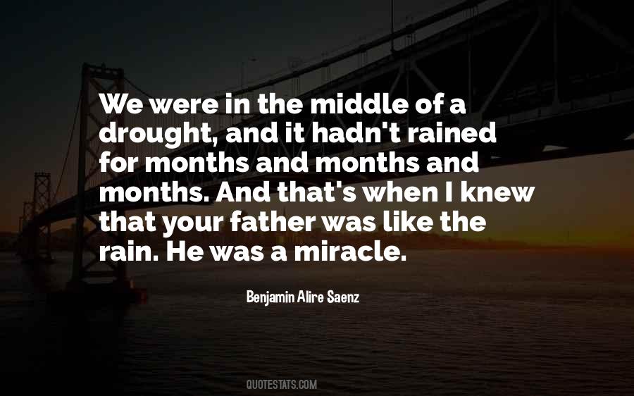 I Like The Rain Quotes #557976