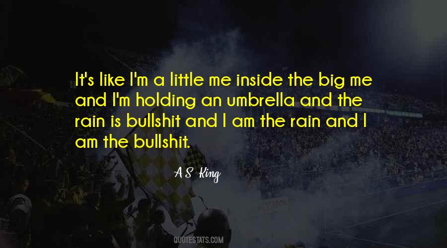 I Like The Rain Quotes #792901