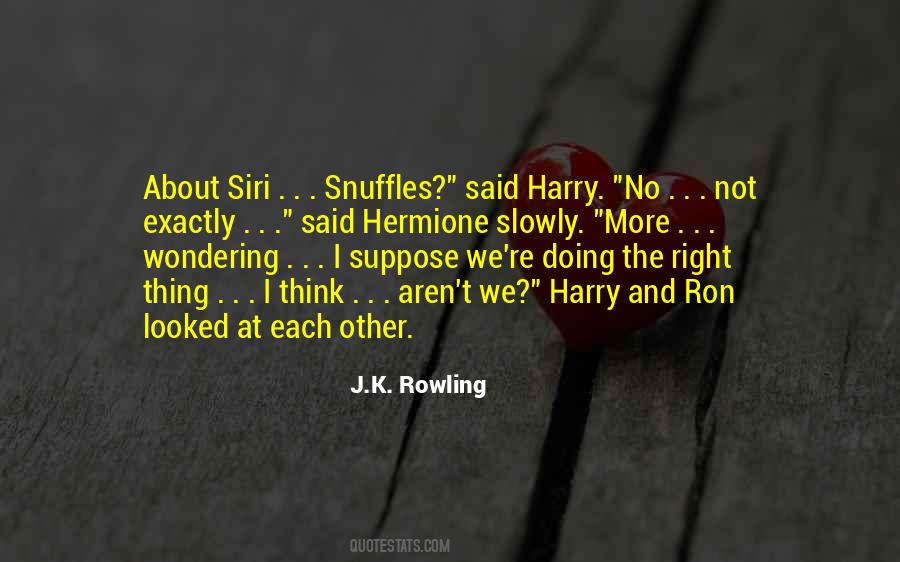Ron Hermione Quotes #1811268