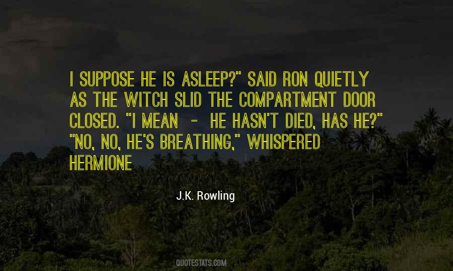 Ron Hermione Quotes #670984