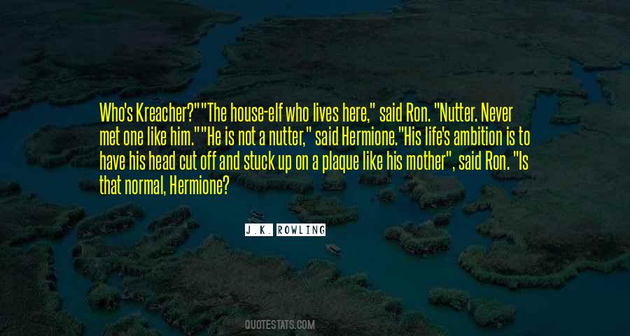 Ron Hermione Quotes #806832