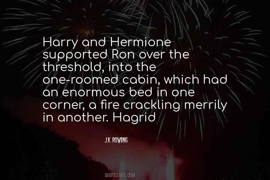 Ron Hermione Quotes #94025