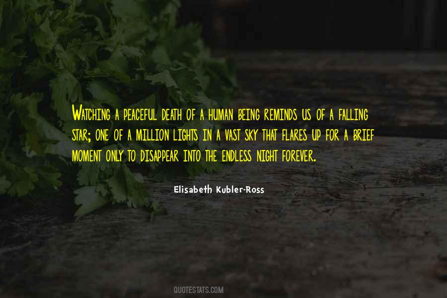 In The Night Sky Quotes #456232